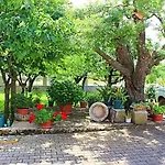 Palmira Πόρετς