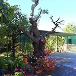 Palmira Διαμέρισμα Πόρετς