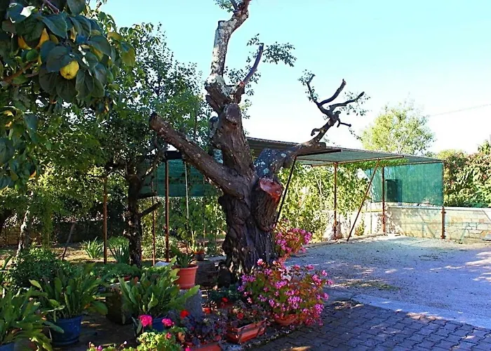 Palmira Appartamento Porec