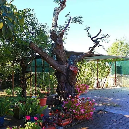 Palmira Apartment Porec