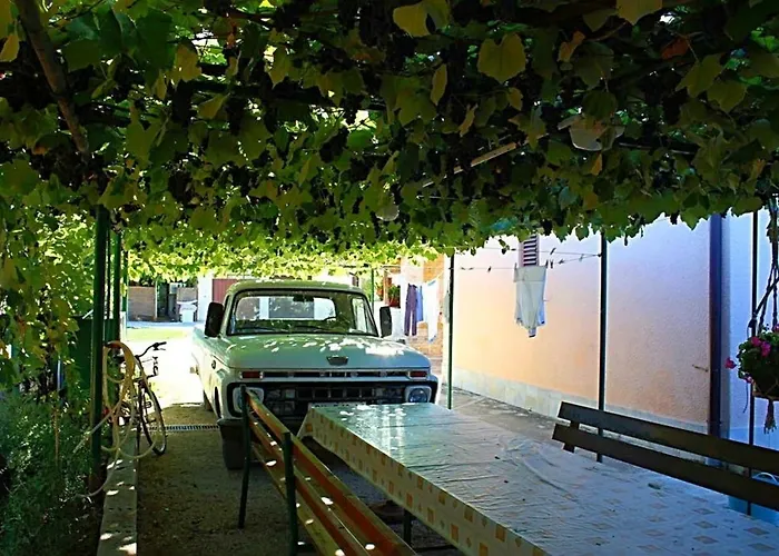 Palmira * بوريتش